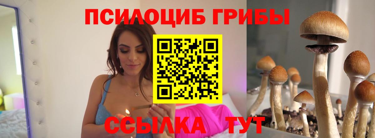 Галлюциногенные грибы Psilocybine cubensis Людиново
